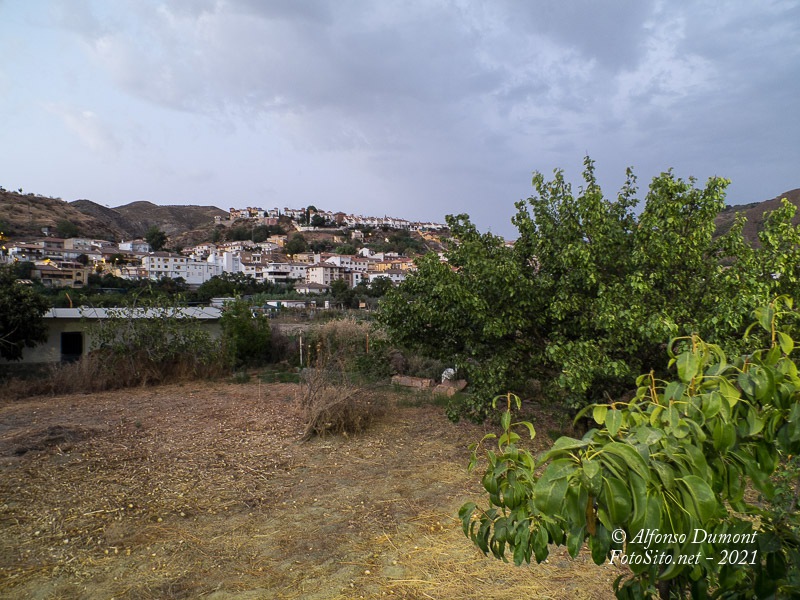 FotoSito, Fotografía número 3507