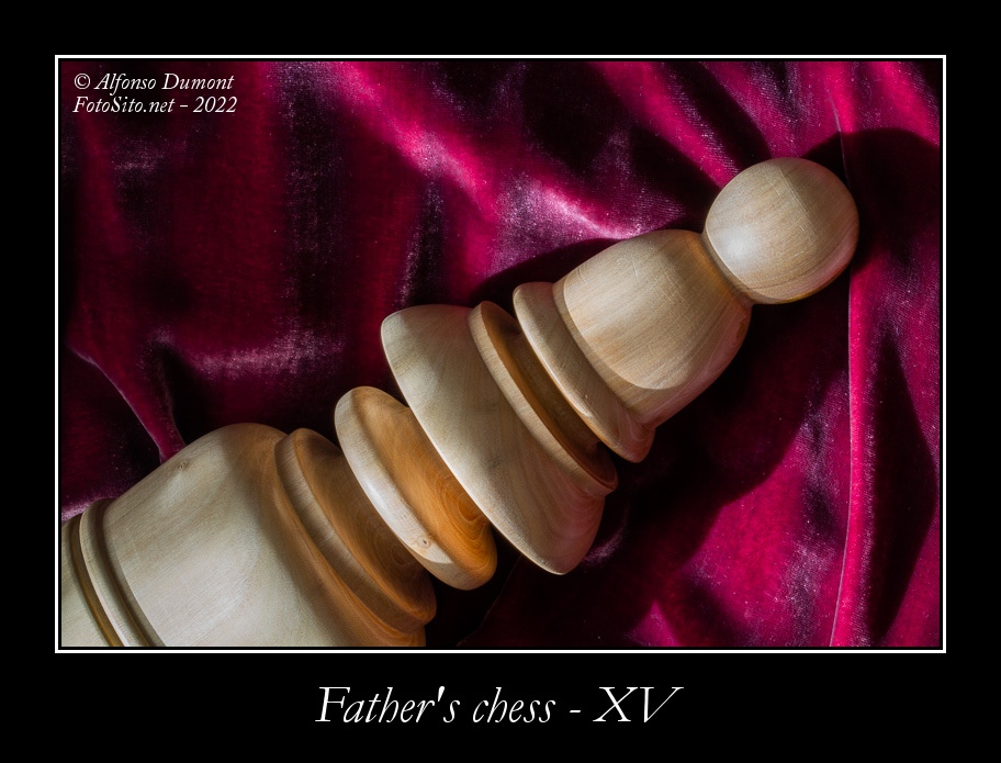 Fathers chess XV