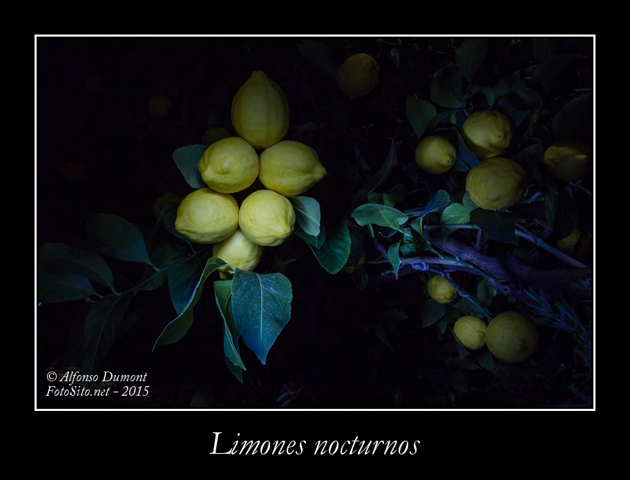 Limones nocturnos