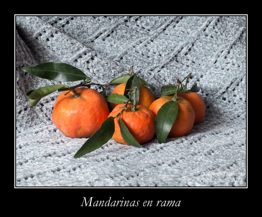 Mandarinas en rama