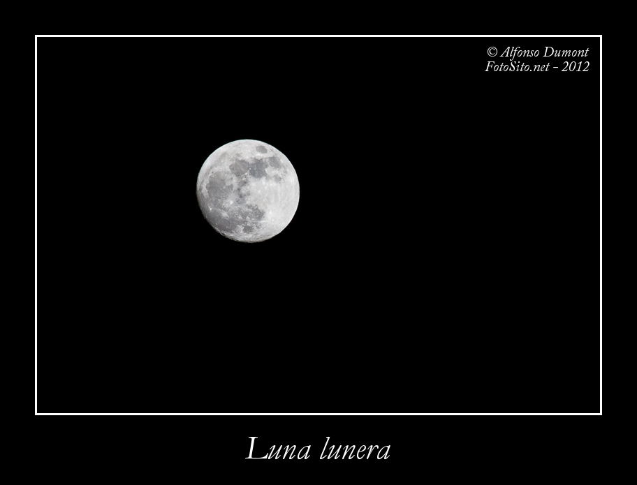Luna lunera