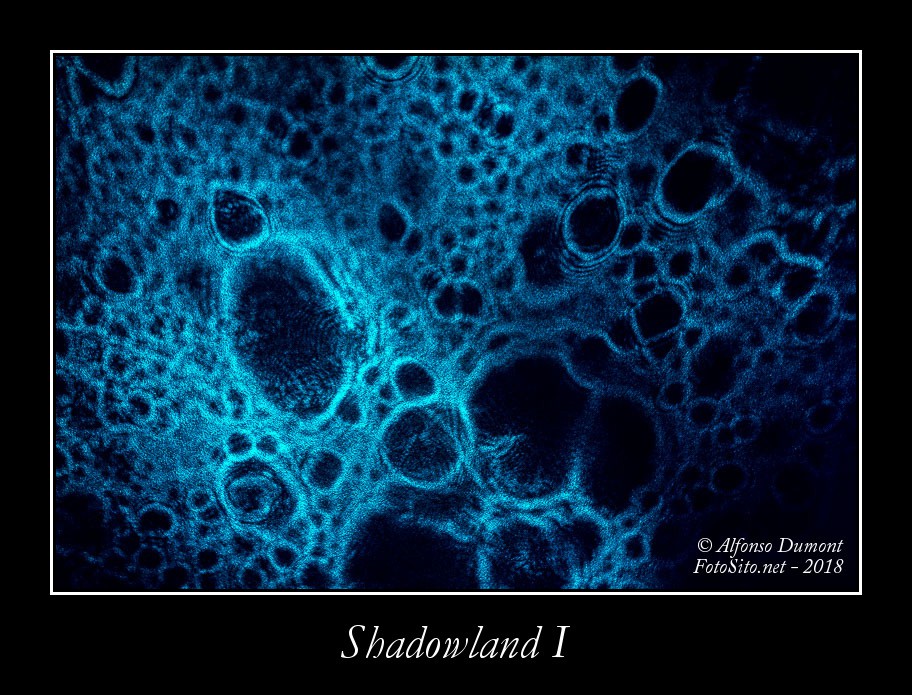 Shadowland I